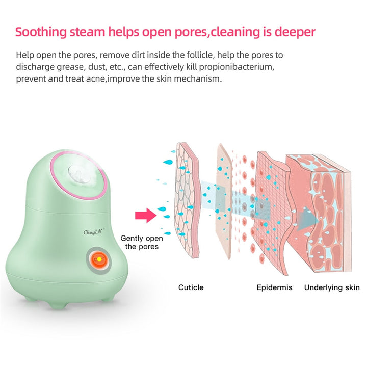 Nano Ionic Face Steamer